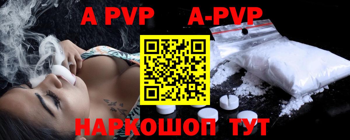 A PVP СК Великий Устюг