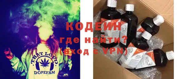 прущие грибы Бородино