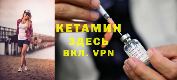 прущие грибы Бородино