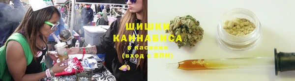 прущие грибы Бородино