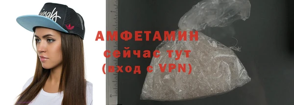 прущие грибы Бородино