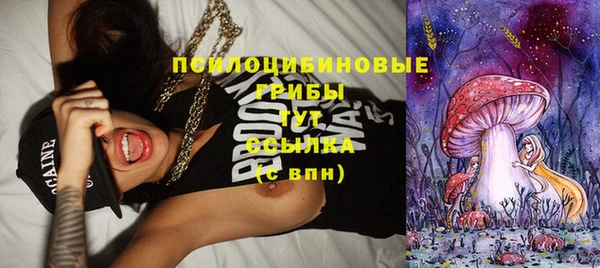 ПСИЛОЦИБИНОВЫЕ ГРИБЫ Бугульма