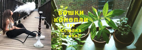ПСИЛОЦИБИНОВЫЕ ГРИБЫ Бугульма