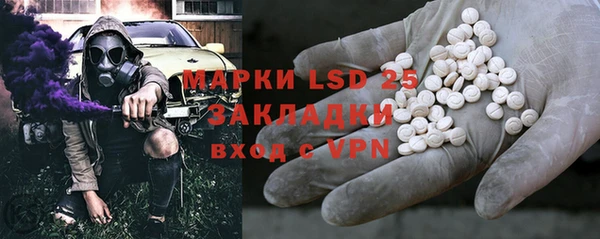 прущие грибы Бородино
