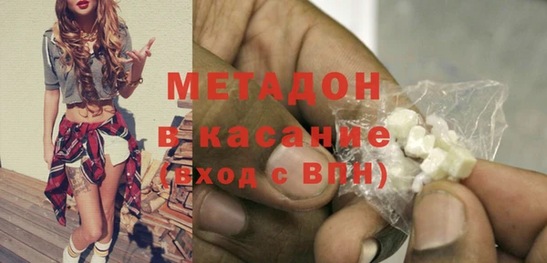 прущие грибы Бородино