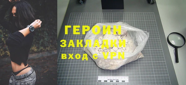 прущие грибы Бородино