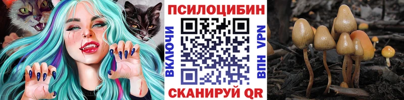 Галлюциногенные грибы Psilocybine cubensis сколько стоит ОМГ ОМГ ССЫЛКА Великий Устюг