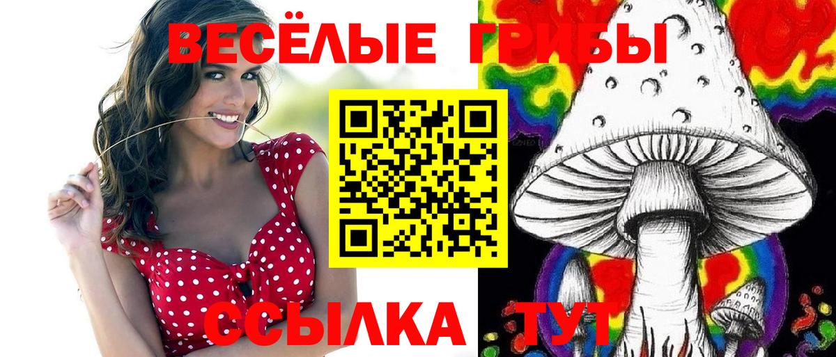 Псилоцибиновые грибы Cubensis Великий Устюг