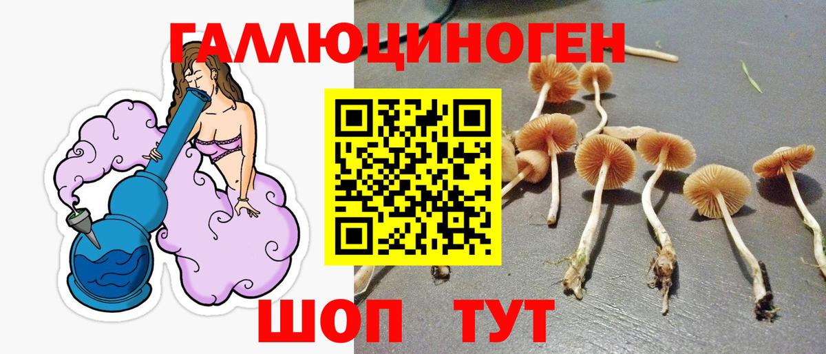 Псилоцибиновые грибы MAGIC MUSHROOMS  Вход с VPN  Великий Устюг  Галлюциногенные грибы мицелий 